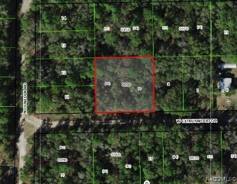 Property Photo: 7661 W Citruswood Drive FL 34433