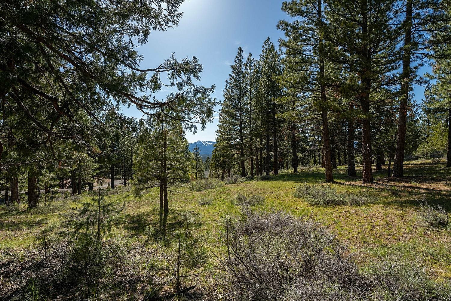Property Photo: 1512 Dream Maker CA 96106