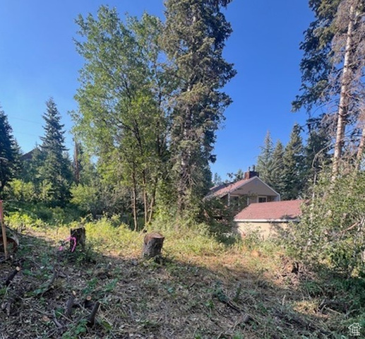 Property Photo: 195 Saint Moritz Strasse 87 UT 84098