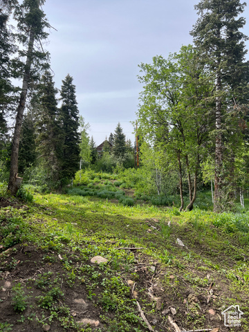 Property Photo: 195 Saint Moritz Strasse 87 UT 84098