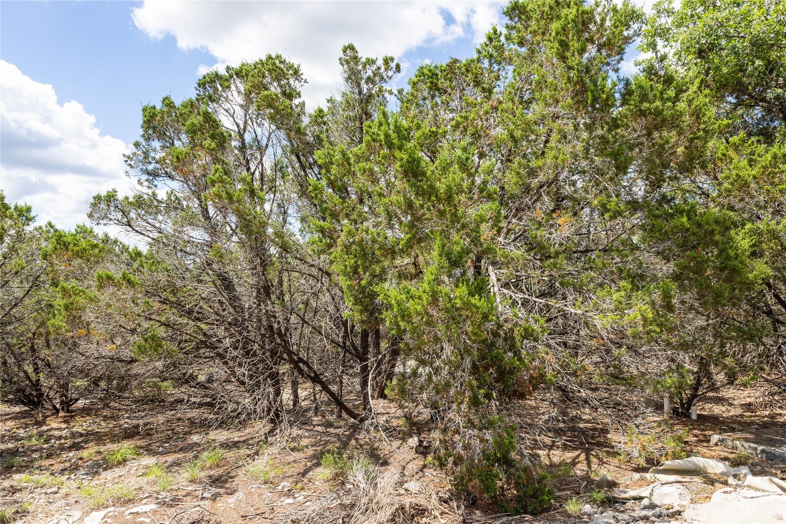 Property Photo:  27 Sitting Bull Road  TX 78676 