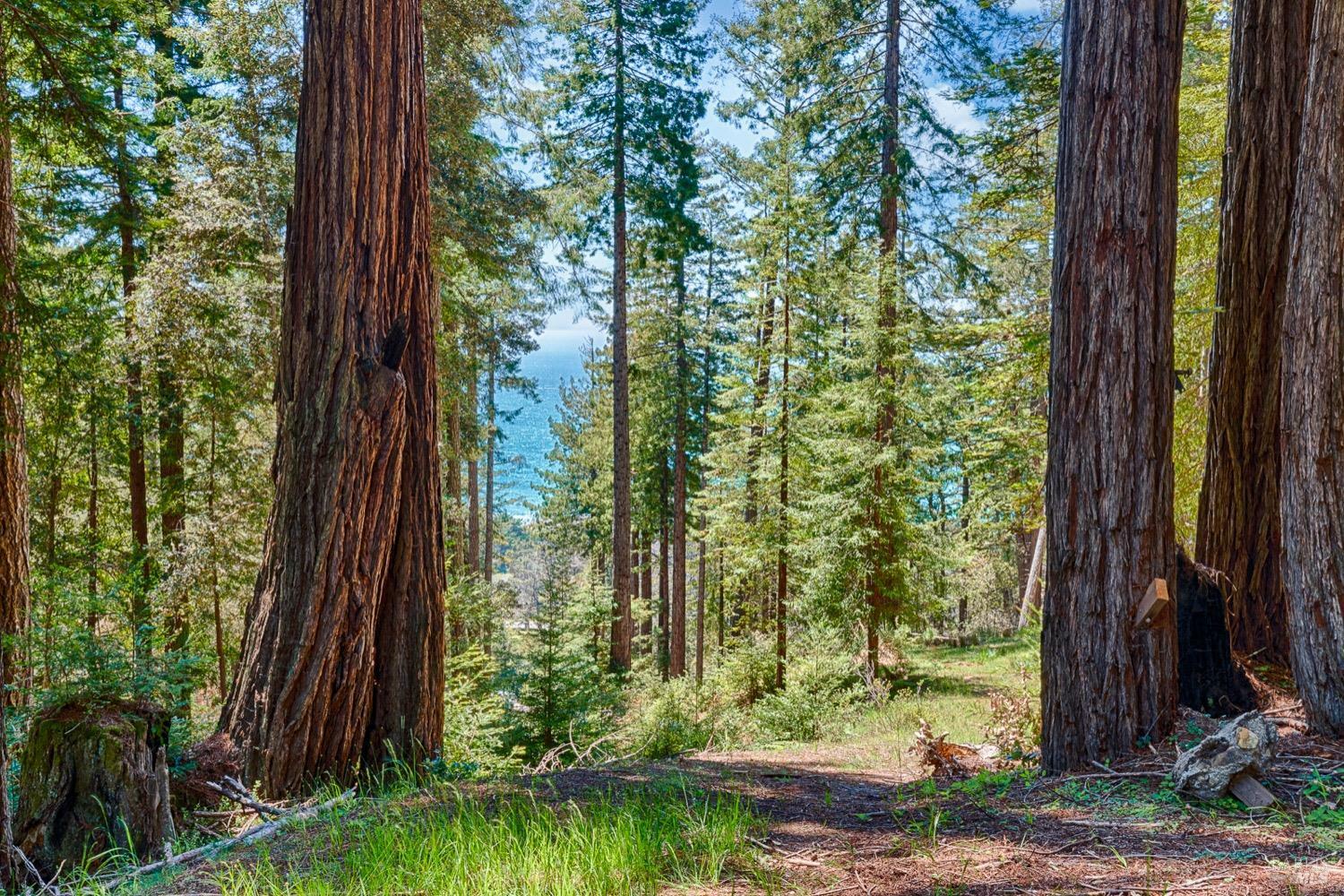 Property Photo: 22196 Umland Circle CA 95450