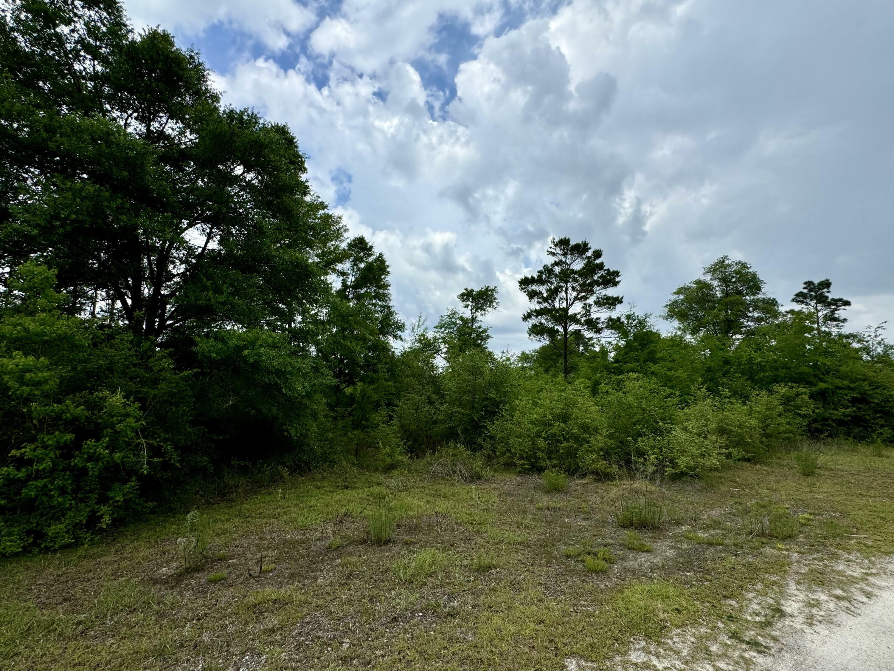 Property Photo:  Lot 12 Grassy Pond Road  FL 32428 