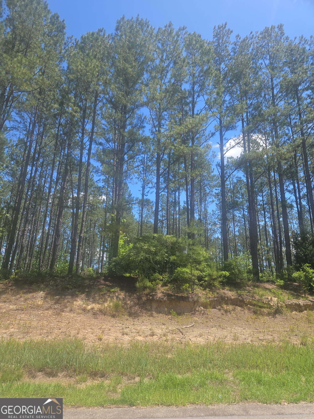 Property Photo: Lot #7 Highway 123 GA 30820
