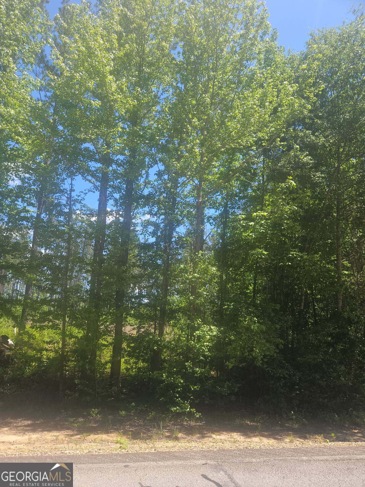 Property Photo: Lot #5 Highway 123 GA 30820