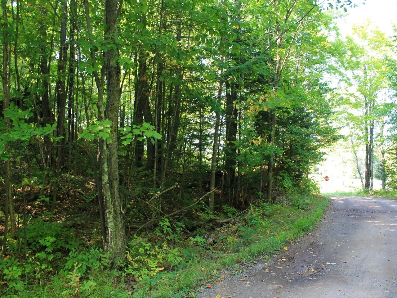 Property Photo: Lot 35 Alpine Dr WI 54565