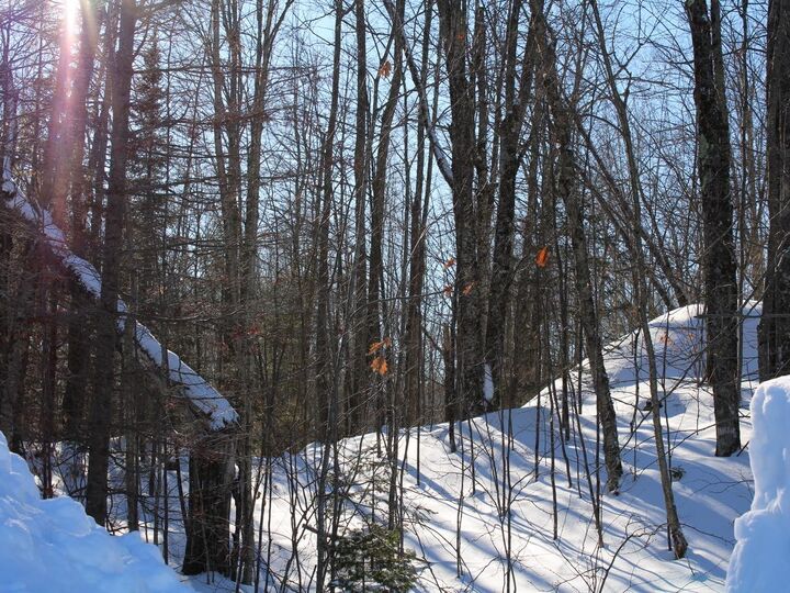 Property Photo:  Lot 35 Alpine Dr  WI 54565 