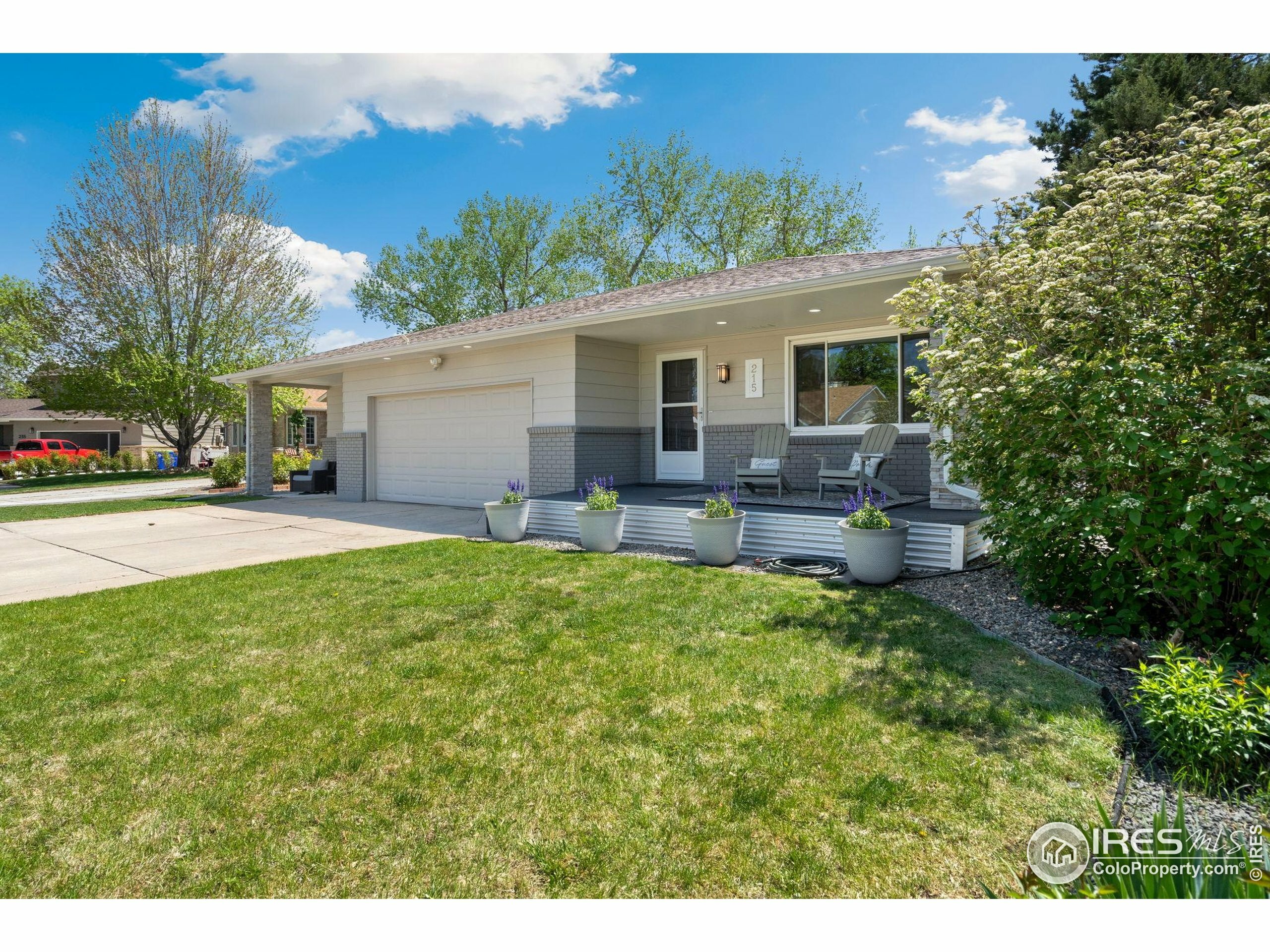 215 Maple Ct  Windsor CO 80550 photo