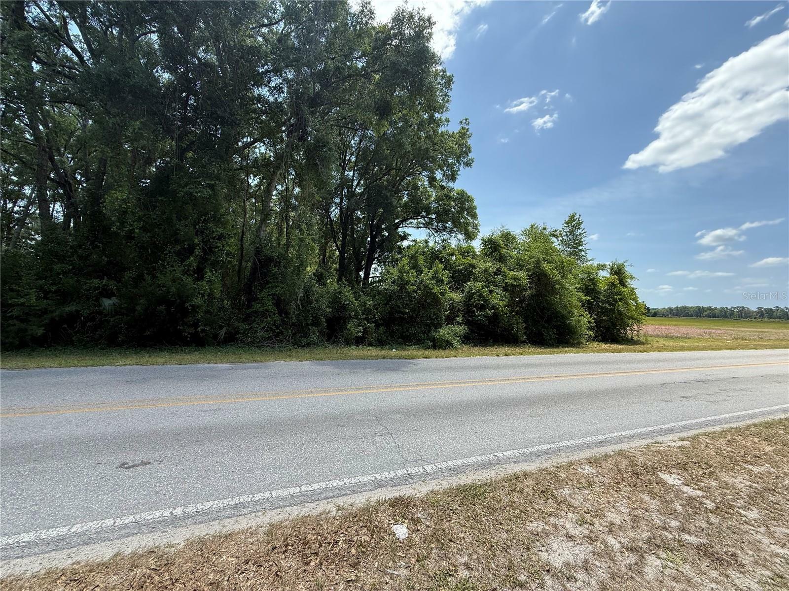 Property Photo: 0 NW 11th Avenue FL 32626