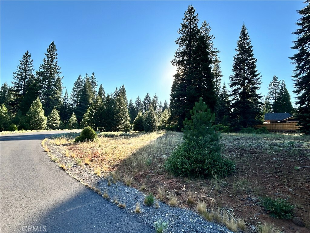 Property Photo: 179 Treetop Circle CA 96137