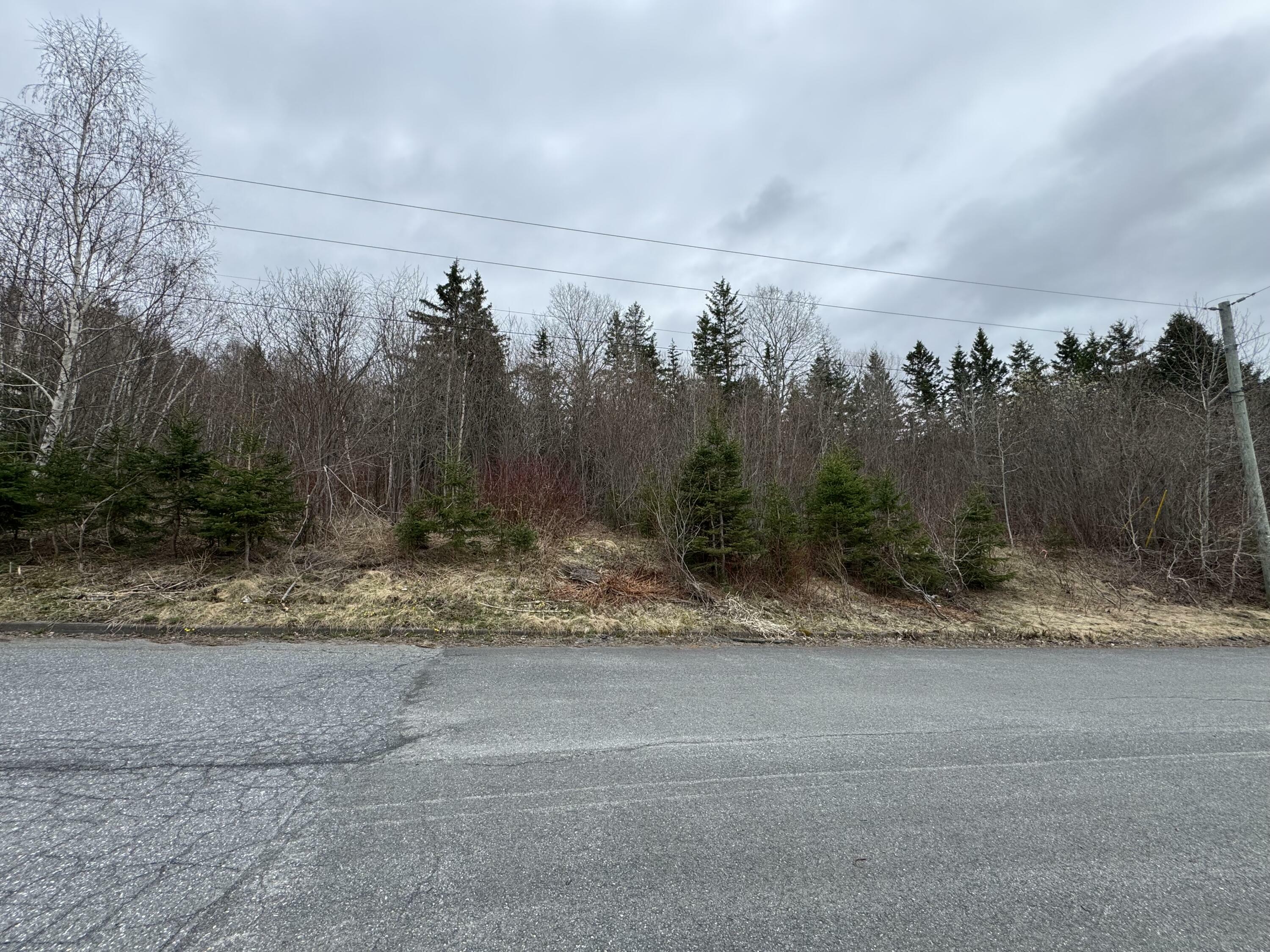 Property Photo: L61 Townview Street ME 04756