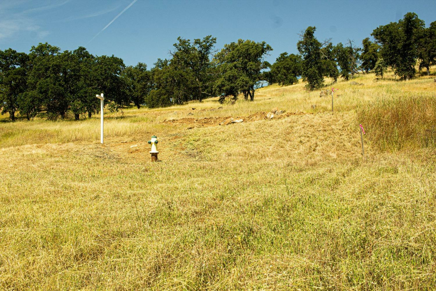 3070 State Hwy 132  La Grange CA 95329 photo