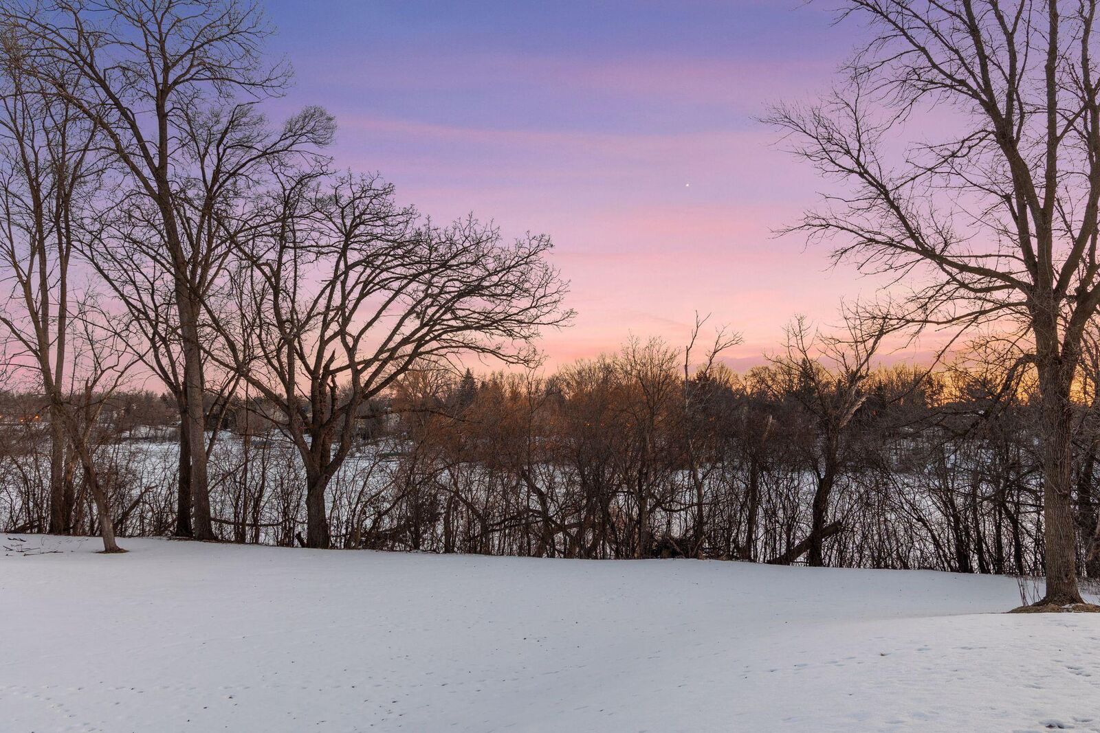 Property Photo:  16865 Terrey Pine Drive  MN 55347 