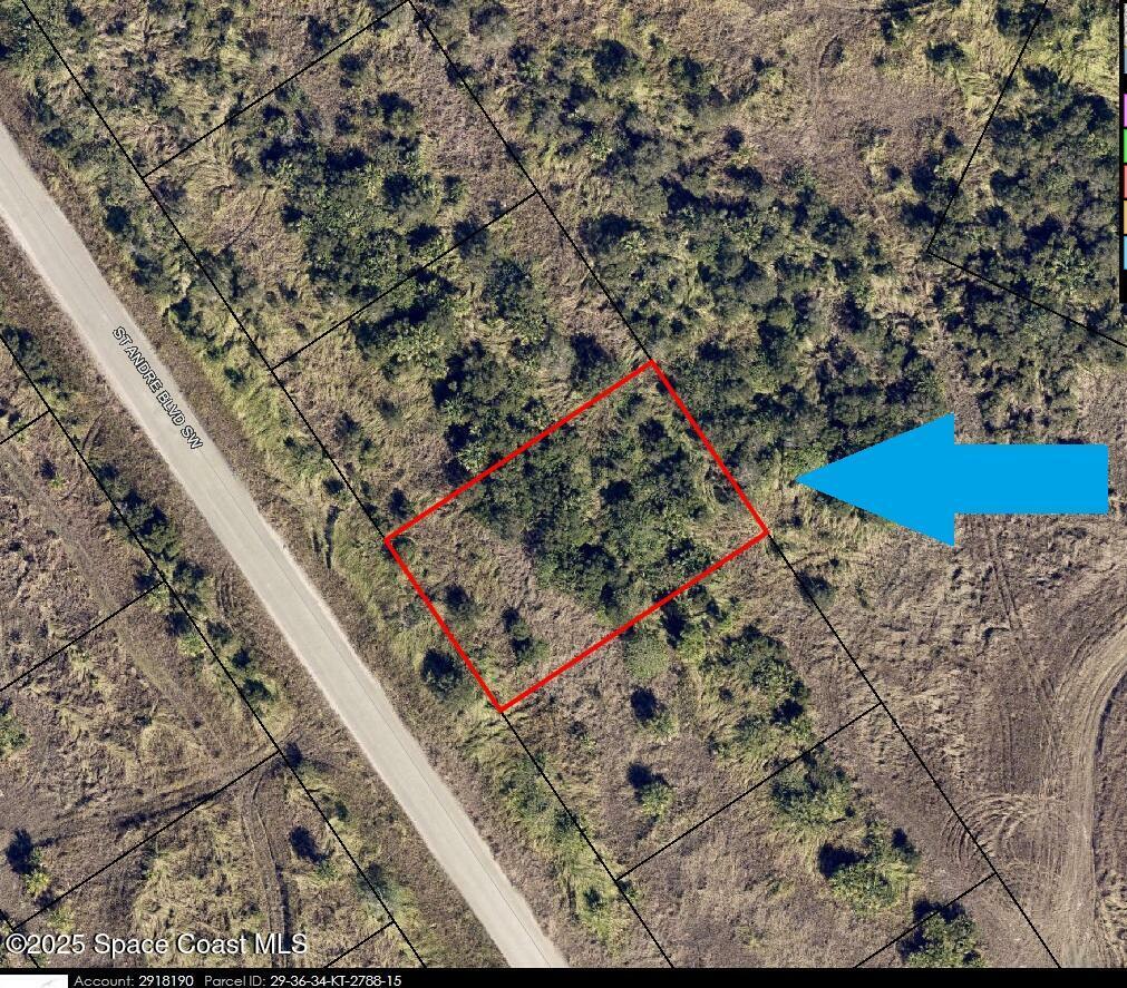 Property Photo: 1331 St Andre Boulevard SW FL 32908