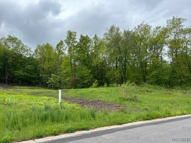 Property Photo: 4951 Big Vista Drive NY 14092