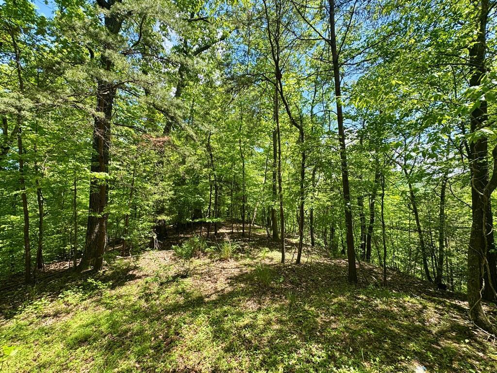 Property Photo:  000 Laurel Ridge  KY 41501 