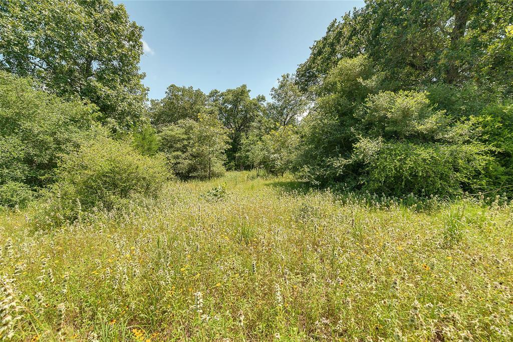 Property Photo: Parcel 19231 County Road 215 TX 78962