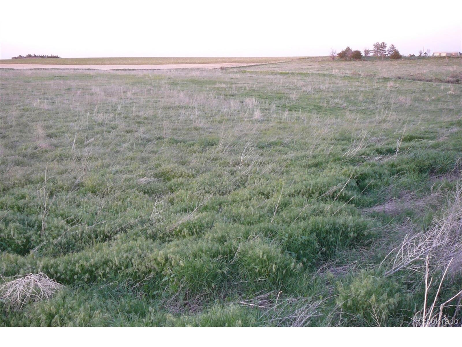 Property Photo:  East Cr 6  CO 80103 