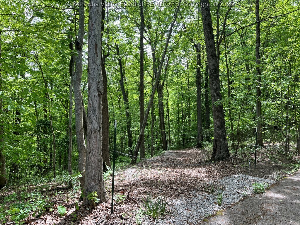 Property Photo: 0 Stonehenge Road WV 25314