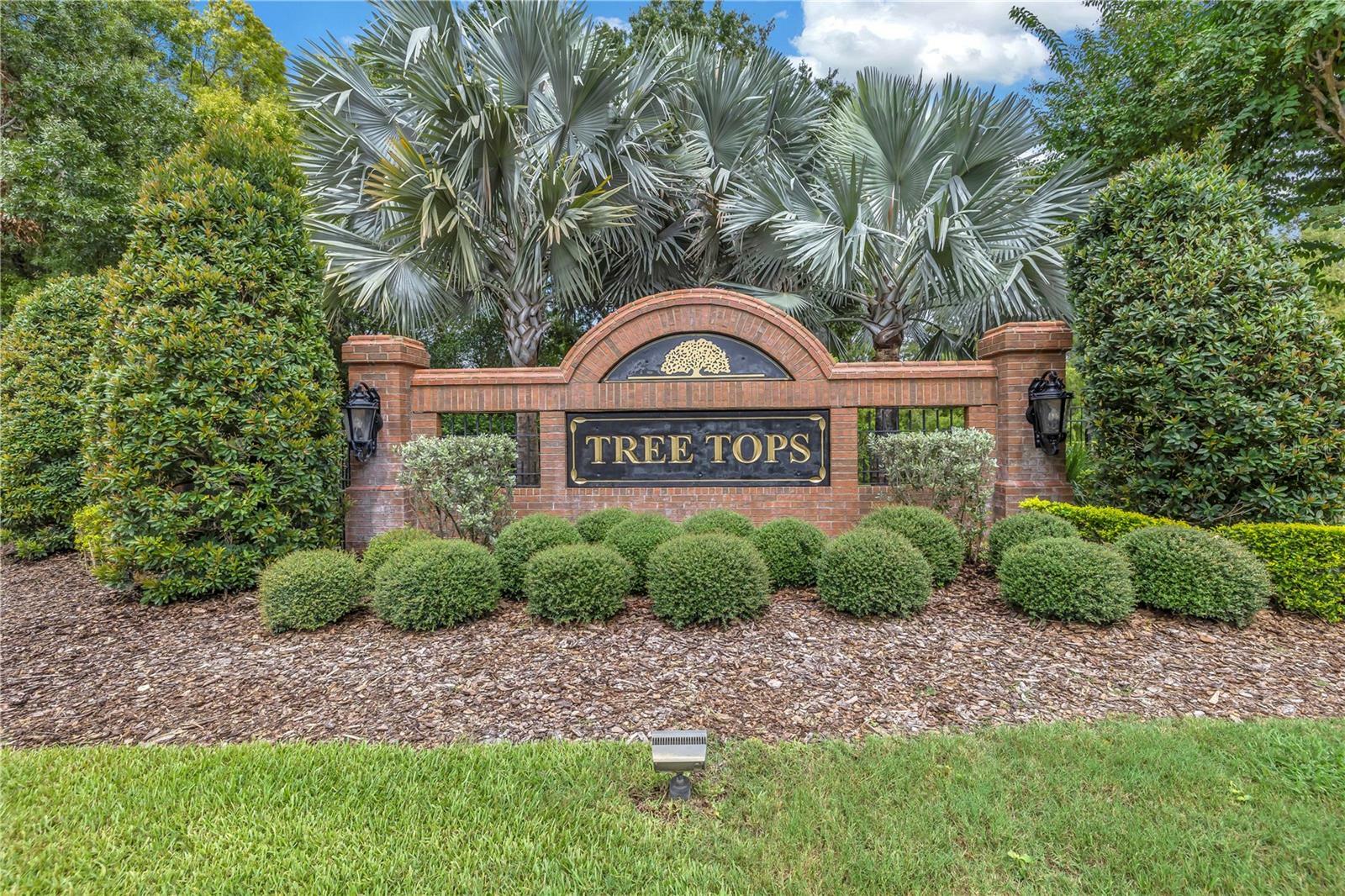 Property Photo: 9818 Tree Tops Lake Road FL 33626