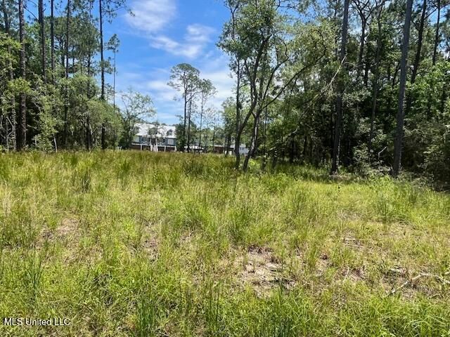 Property Photo: Lot 20 Birch , Lot 23 Pinewood MS 39571