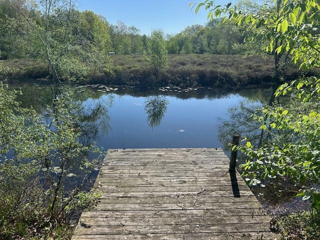 Property Photo:  11021 Heather Lane  MI 49346 