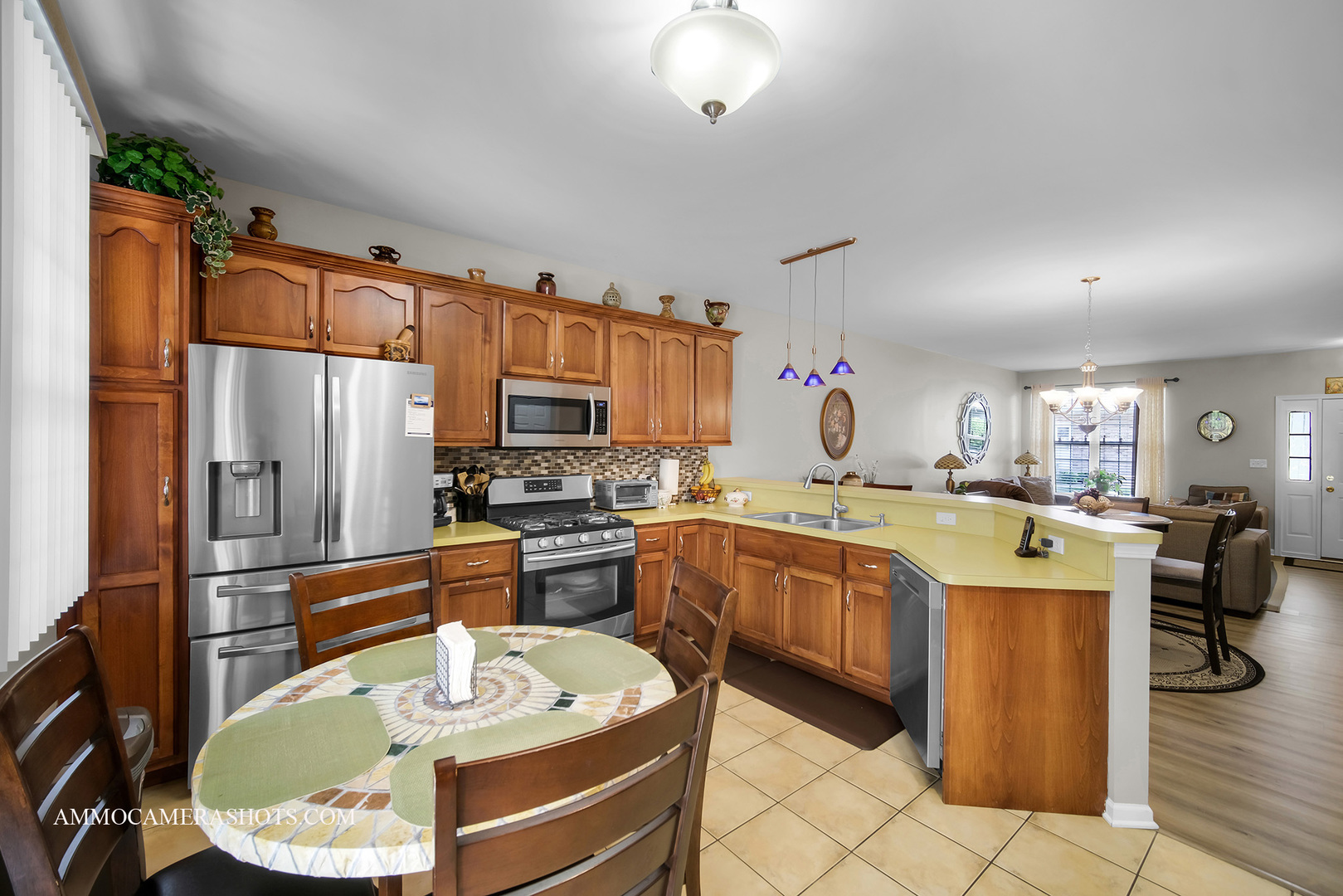 Property Photo: 1677 Brightwood Place 8B IL 60506