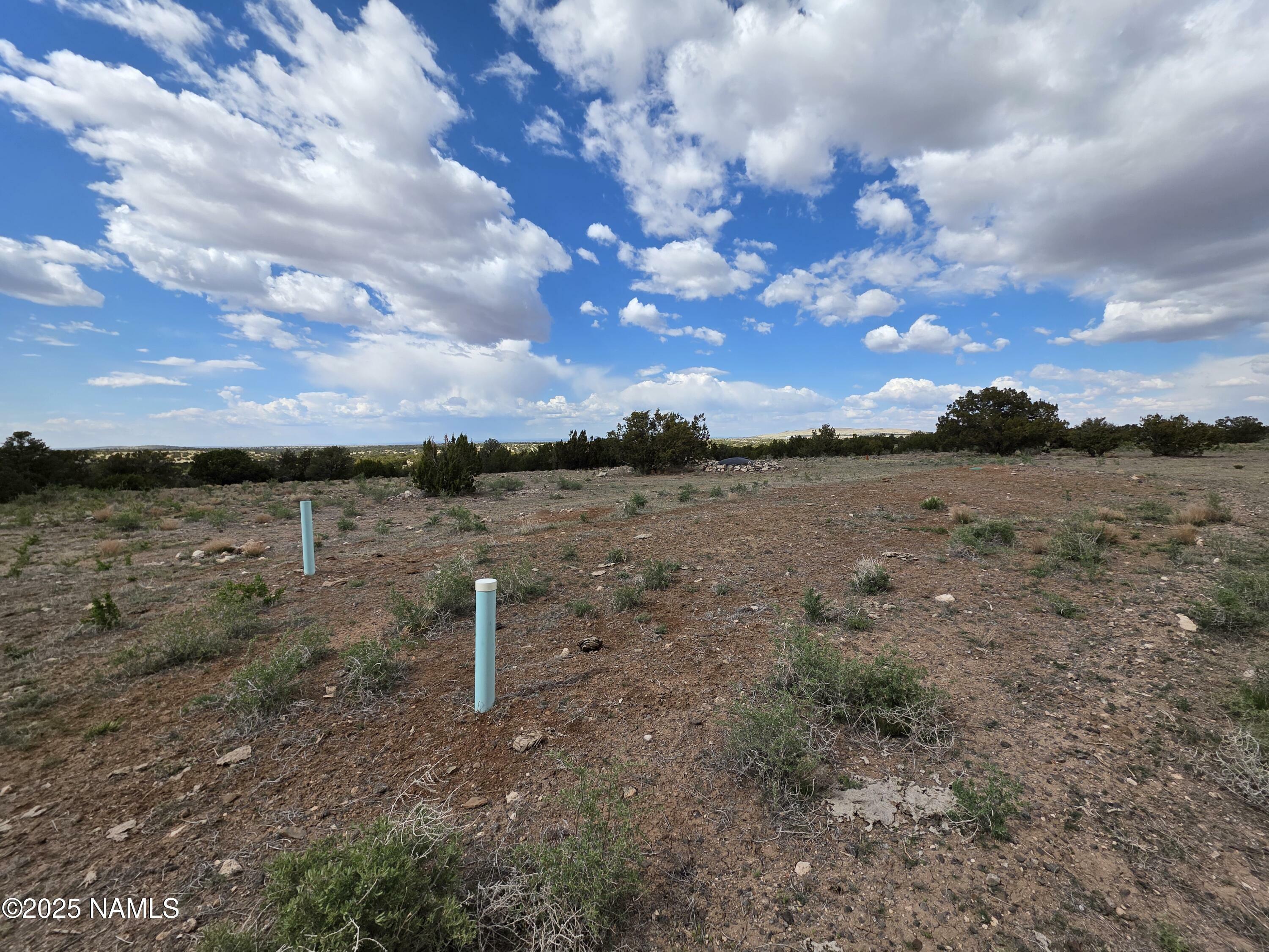 Property Photo:  3978 Whitetail Loop  AZ 86046 