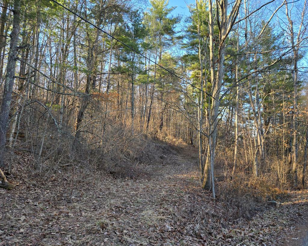 000 Edinger Hill Road  Laceyville PA 18623 photo