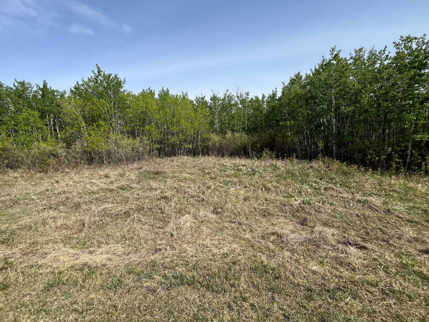 Grandview Estates  Rural Vermilion River, County of AB T9X 1R6 photo