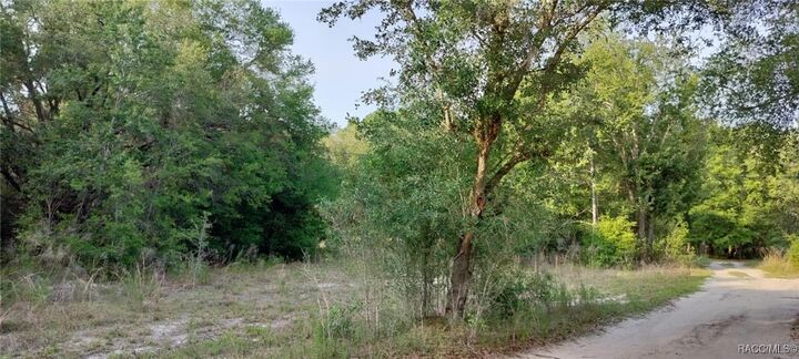 Property Photo: 2608 Polk Street FL 34453