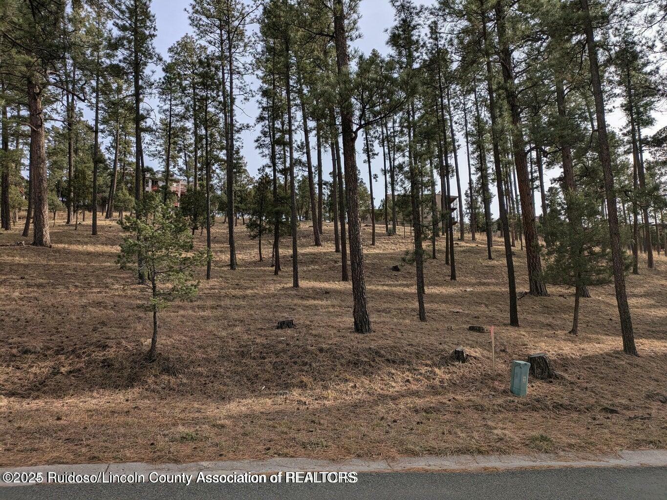 Property Photo: 320 White Mountain Meadows Drive NM 88345