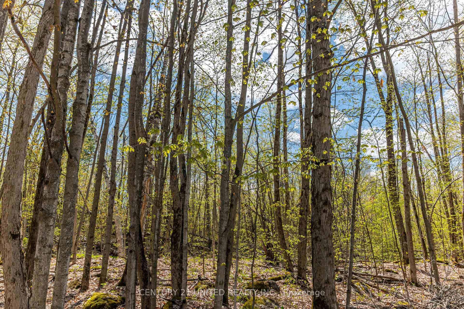 Property Photo:  1030 Birchview Road  ON K0L 2H0 