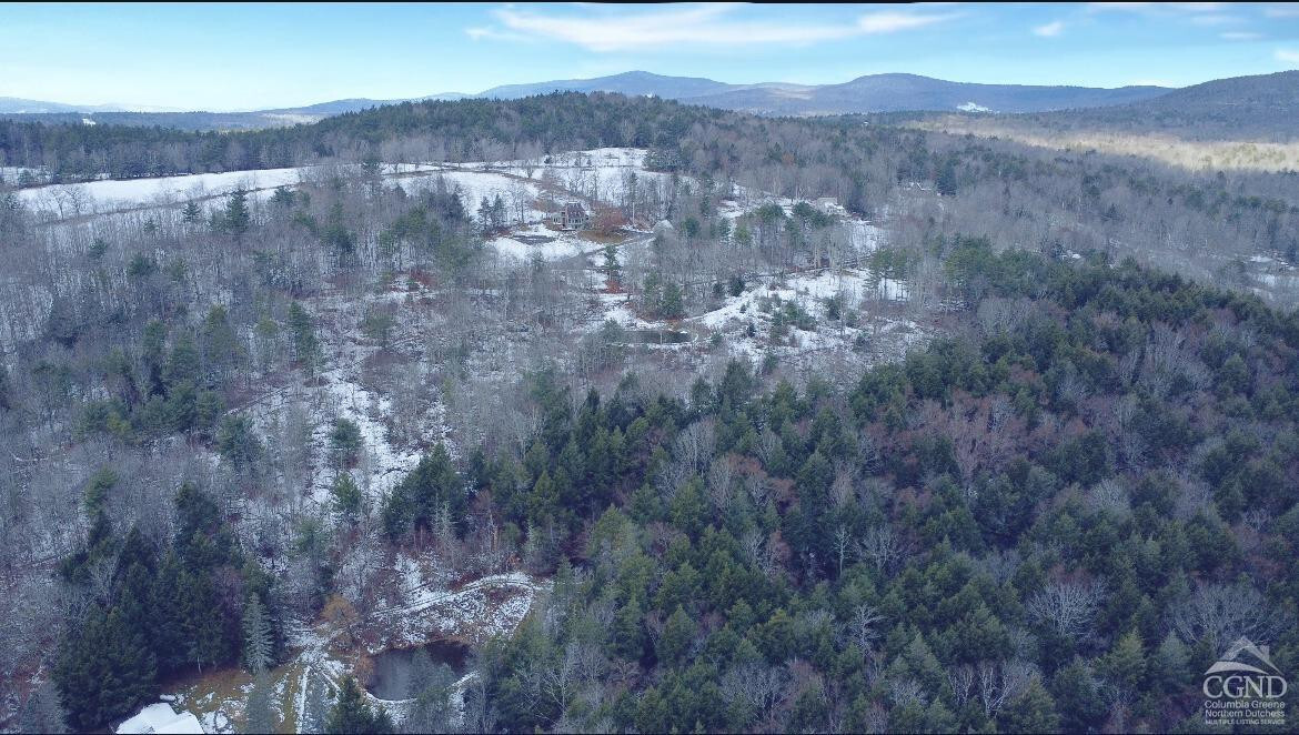 Property Photo:  0 Homestead  NY 12496 