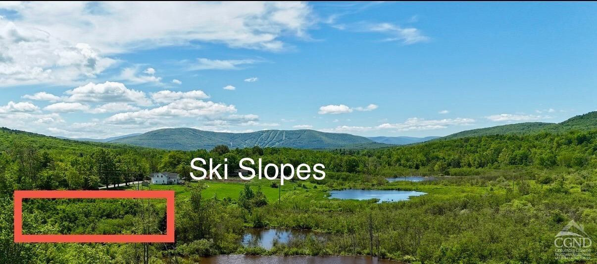 Property Photo: 0 Mitchell Hollow Road NY 12496