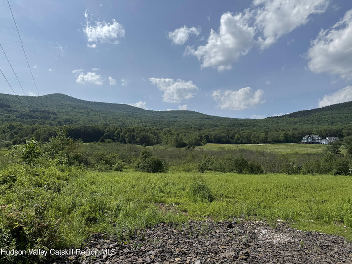 Property Photo:  0 Mitchell Hollow Road  NY 12496 