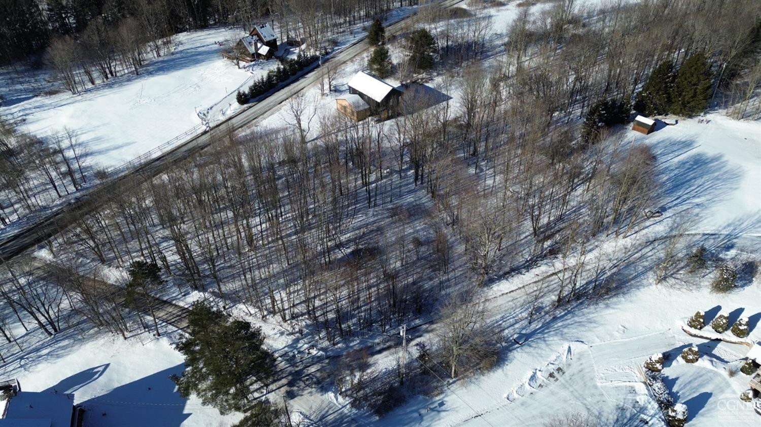 Property Photo: 0 Mountain View Road NY 12496
