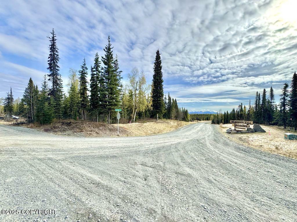 Property Photo: Tr A4 Aletha Court AK 99669
