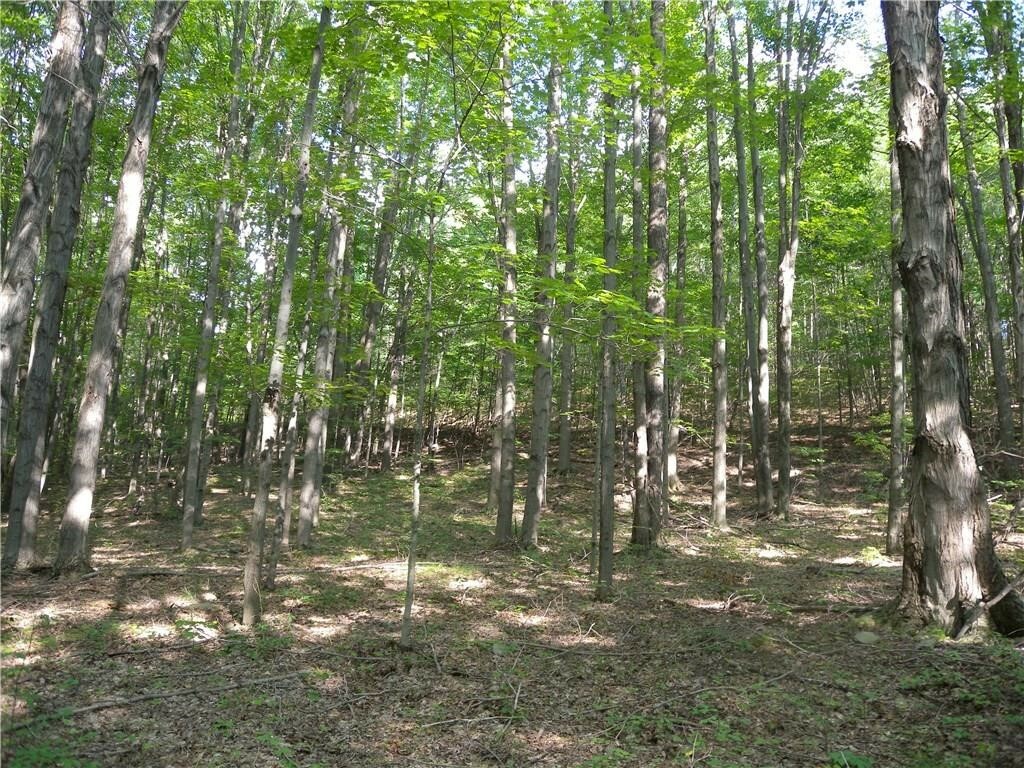 Property Photo:  1454 Crane Lane  NY 14801 