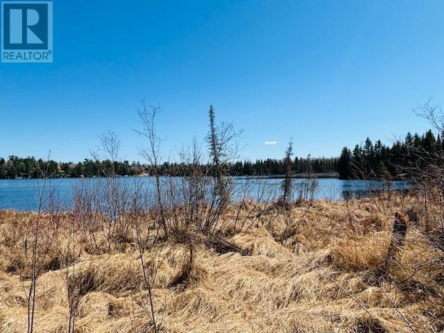 0 Hilly Lake Rd  Kenora ON P9N 3W8 photo