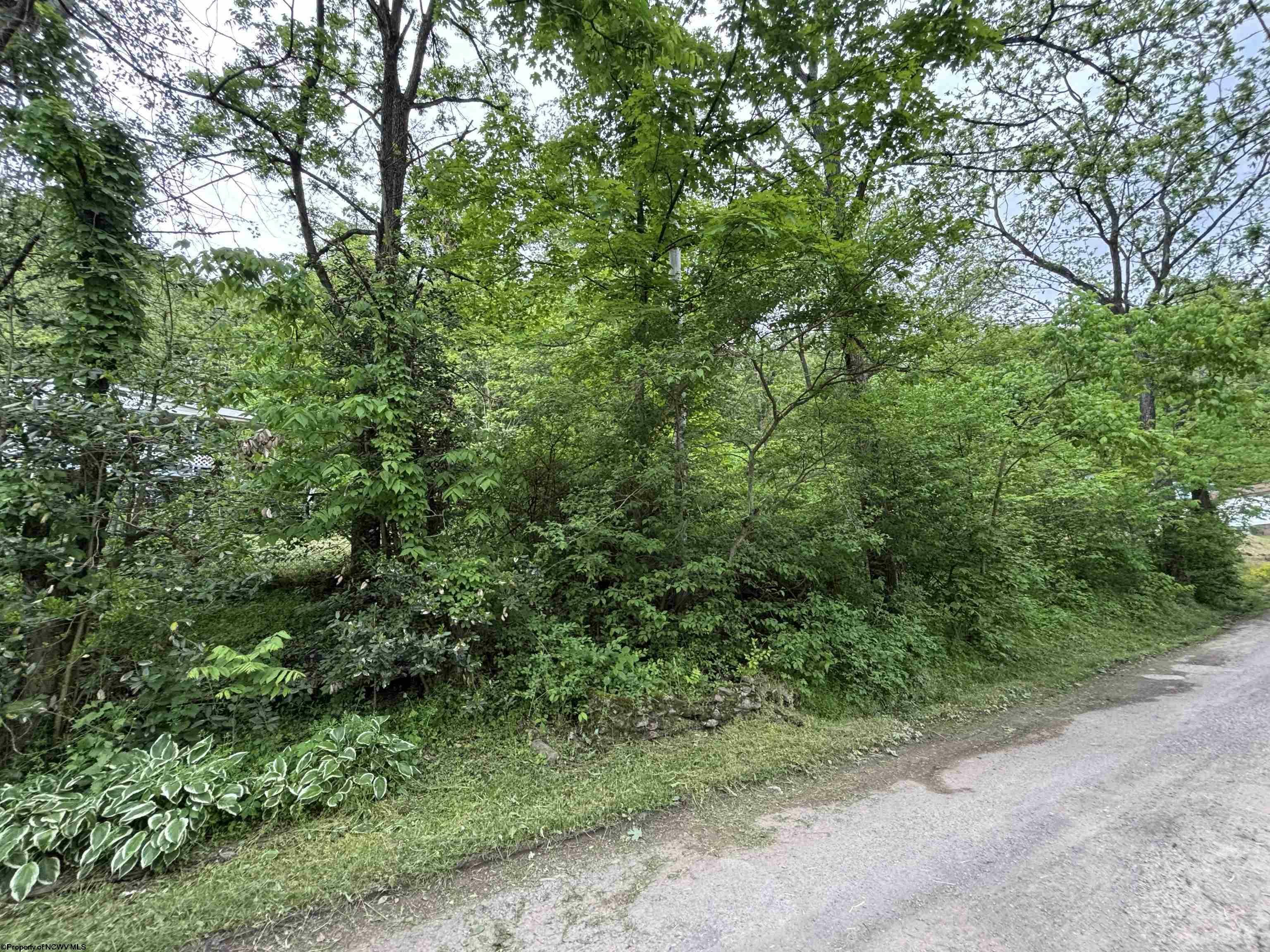 Property Photo: Tbd Durham Lane WV 26508