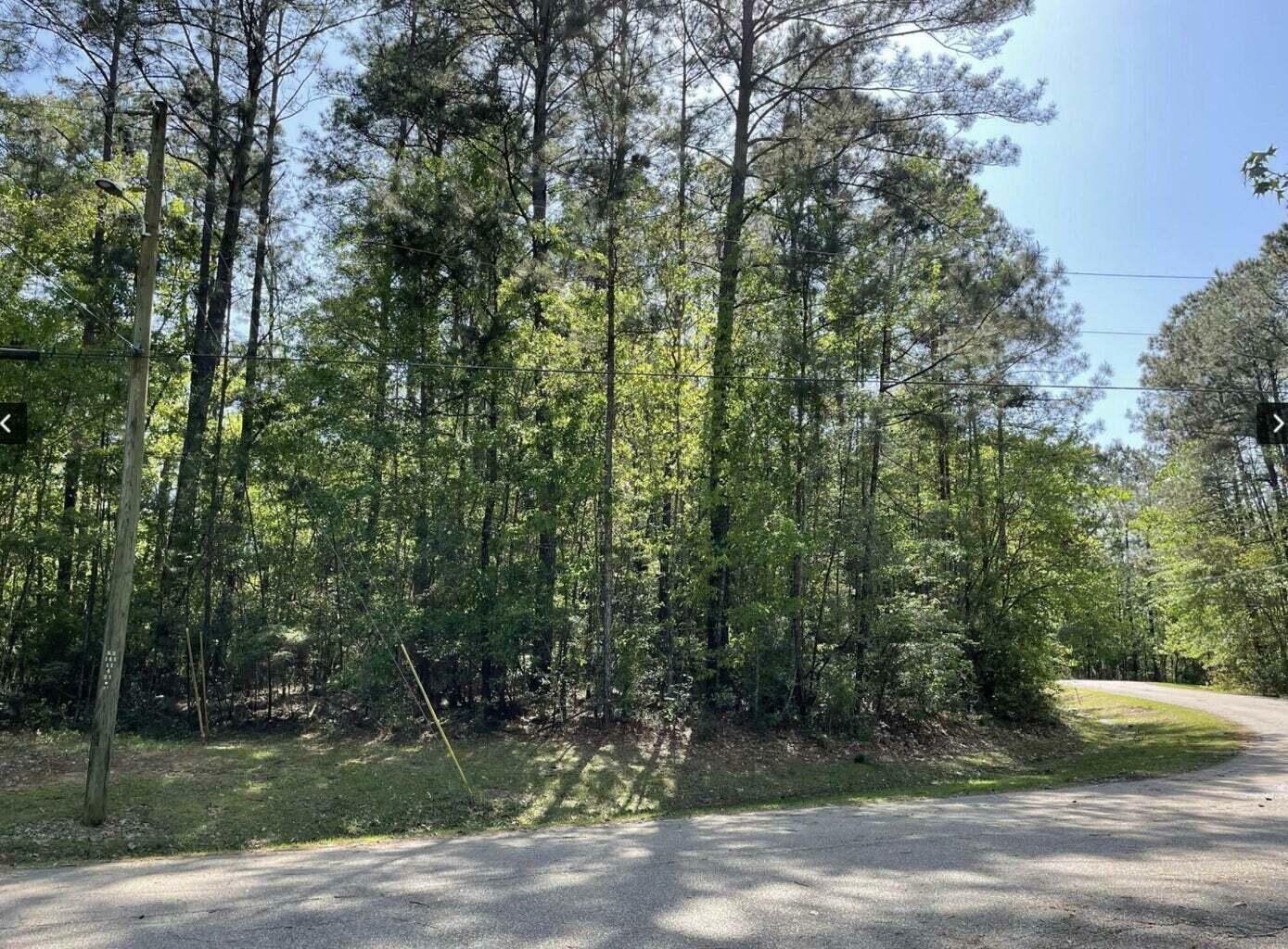 Property Photo: 179 West Bay Dr. MS 39455