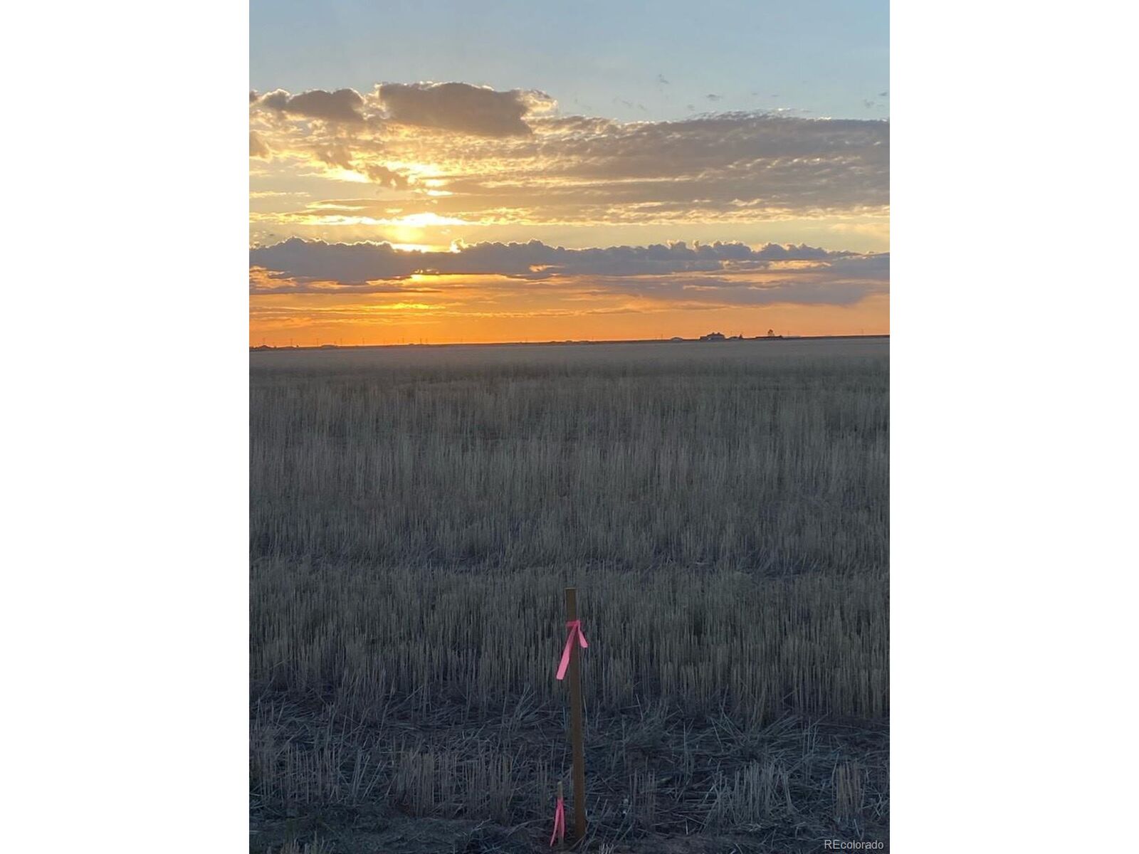 Property Photo:  Converse Rd  CO 80102 