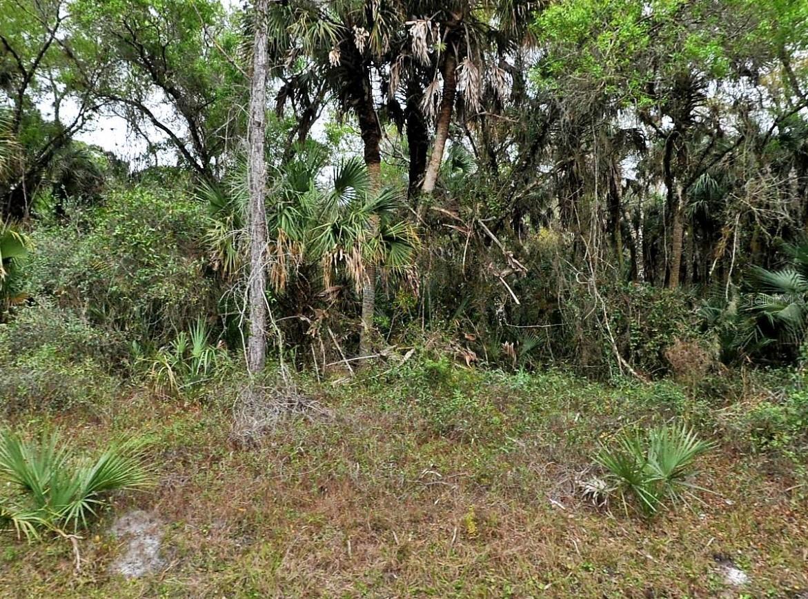 Property Photo:  Hurdle Rd.  FL 34291 