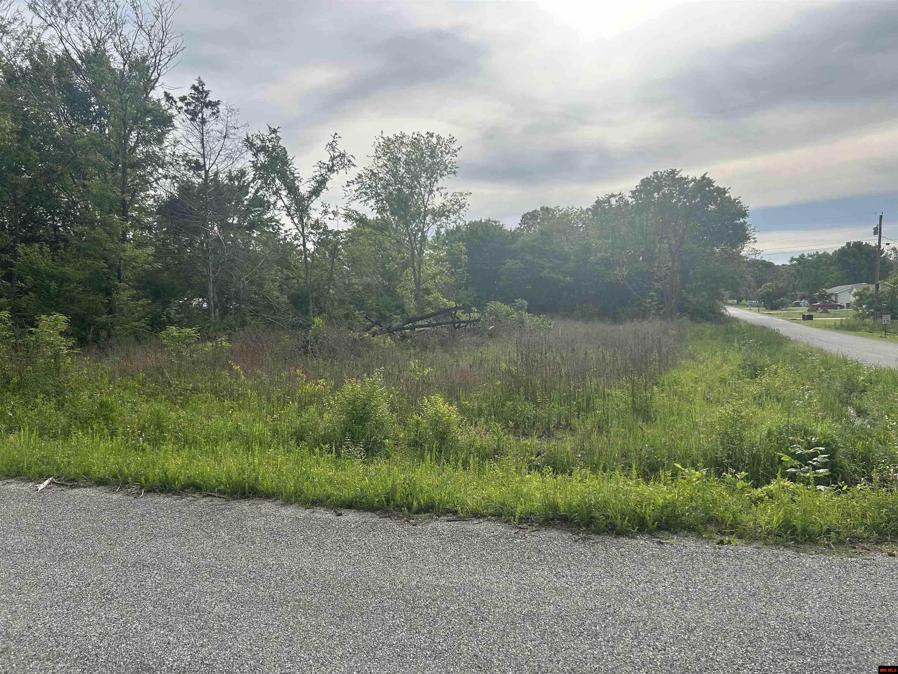 Property Photo: Lot 25 Meadowdale Street AR 72653