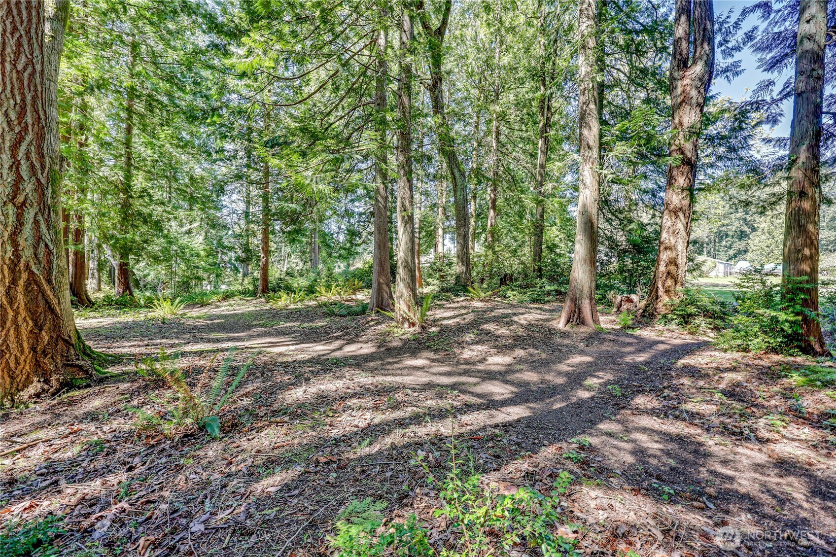 Property Photo: 113 Xx North Madison Avenue NE WA 98110