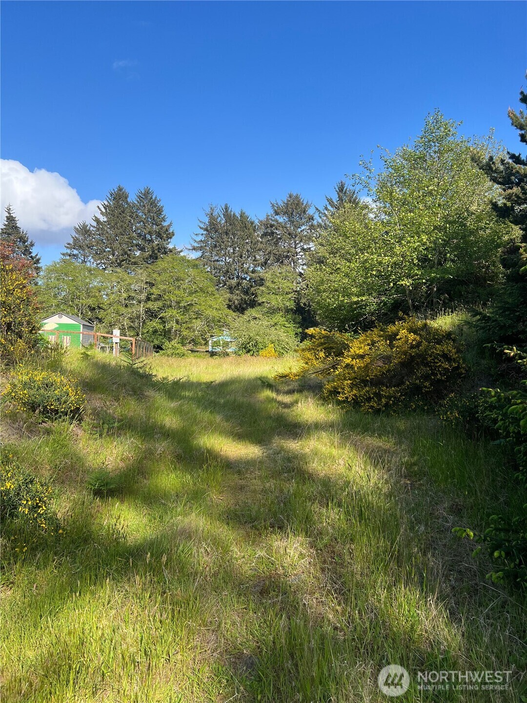 Property Photo:  212  Dolphin Avenue NE  WA 98569 