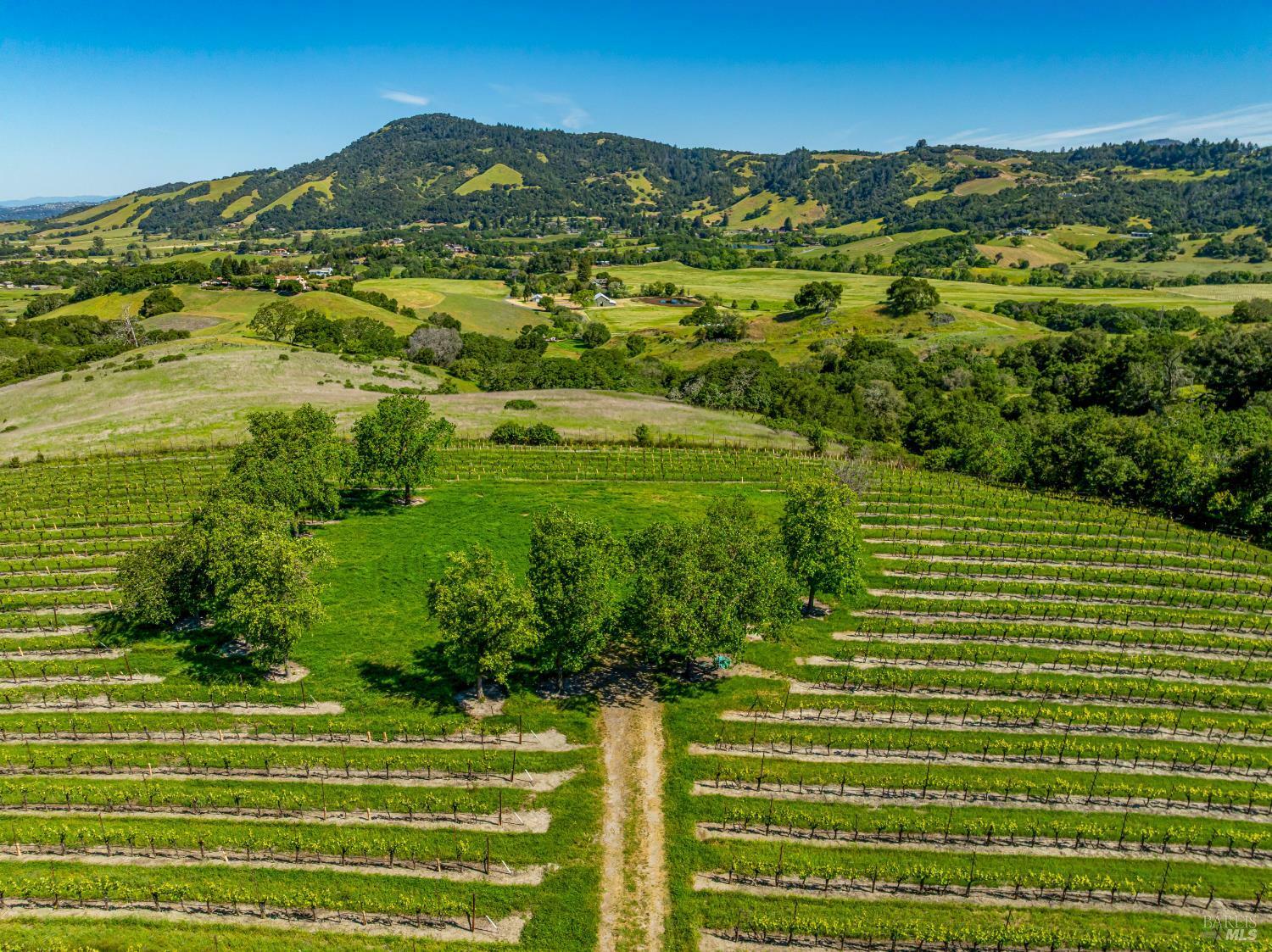 4560 Sonoma Mountain Road  Santa Rosa CA 95404 photo