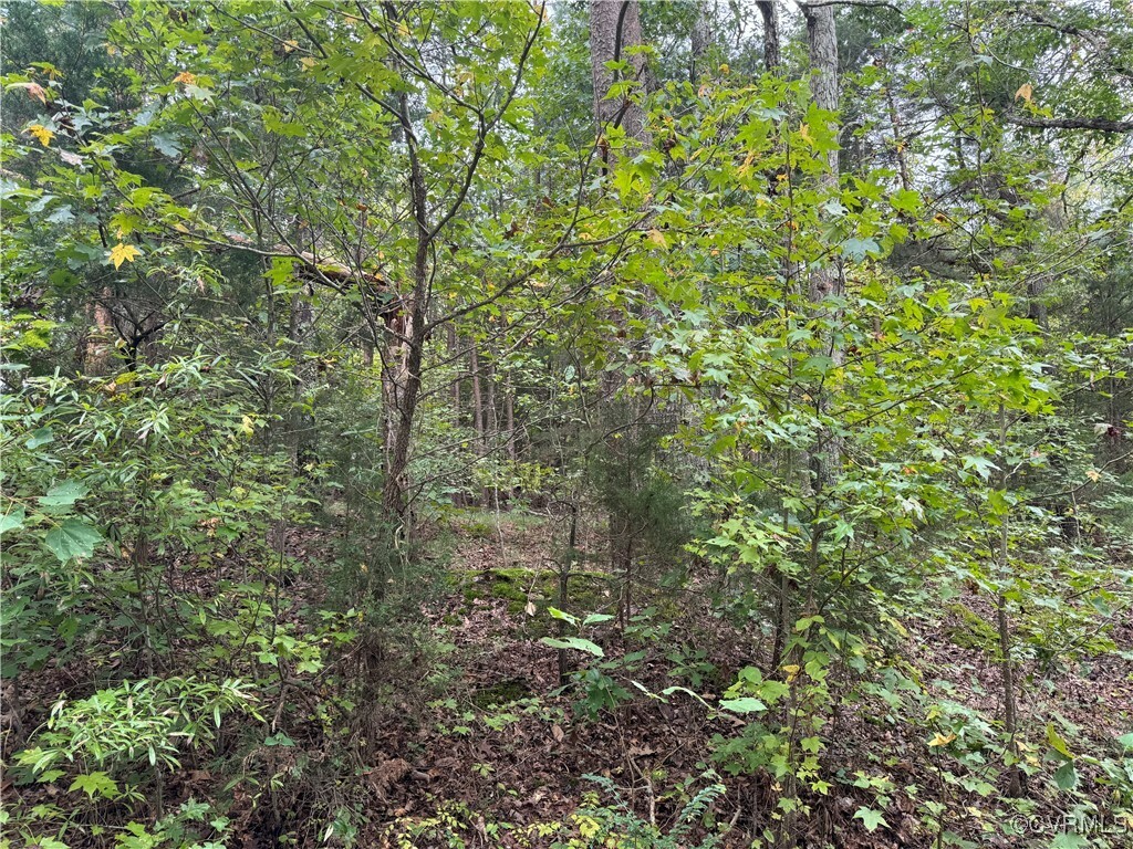 Property Photo: 0 Liberty Road VA 24577