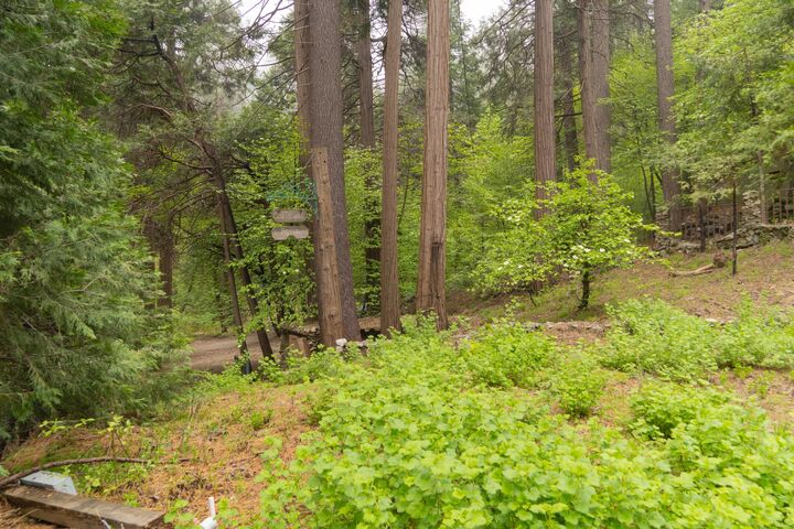 Property Photo: 710 Blue Jay Canyon Road CA 92317